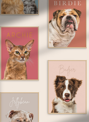 Colorful Style Exclusive pet art